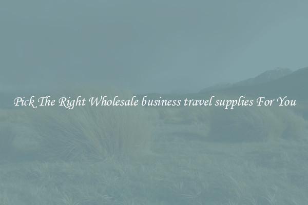 Pick The Right Wholesale business travel supplies For You