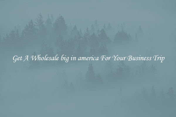 Get A Wholesale big in america For Your Business Trip