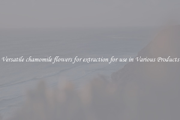 Versatile chamomile flowers for extraction for use in Various Products