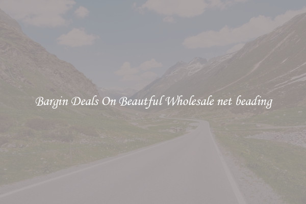 Bargin Deals On Beautful Wholesale net beading