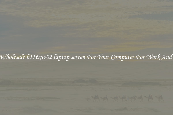 Crisp Wholesale b116xw02 laptop screen For Your Computer For Work And Home