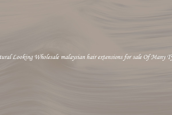 Natural Looking Wholesale malaysian hair extensions for sale Of Many Types