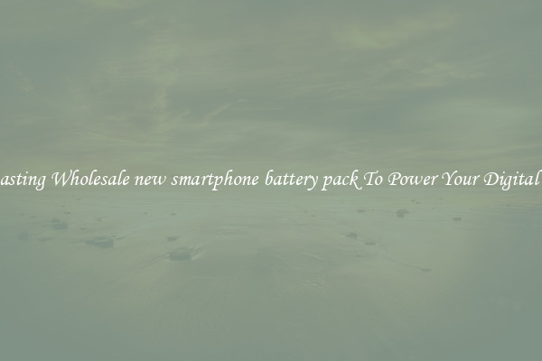 Long Lasting Wholesale new smartphone battery pack To Power Your Digital Devices