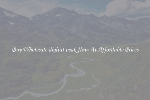 Buy Wholesale digital peak flow At Affordable Prices