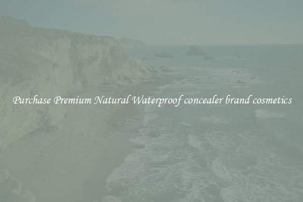 Purchase Premium Natural Waterproof concealer brand cosmetics