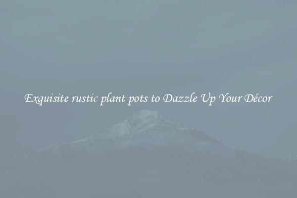 Exquisite rustic plant pots to Dazzle Up Your Décor 