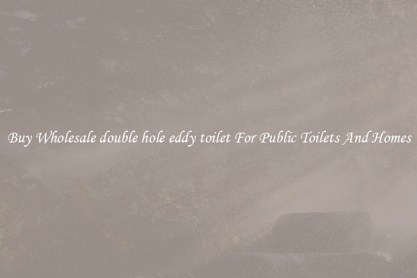Buy Wholesale double hole eddy toilet For Public Toilets And Homes
