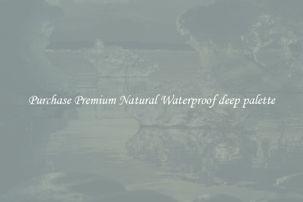 Purchase Premium Natural Waterproof deep palette