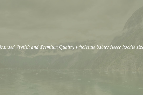 Branded Stylish and Premium Quality wholesale babies fleece hoodie sizes