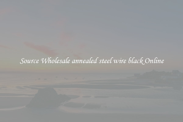 Source Wholesale annealed steel wire black Online