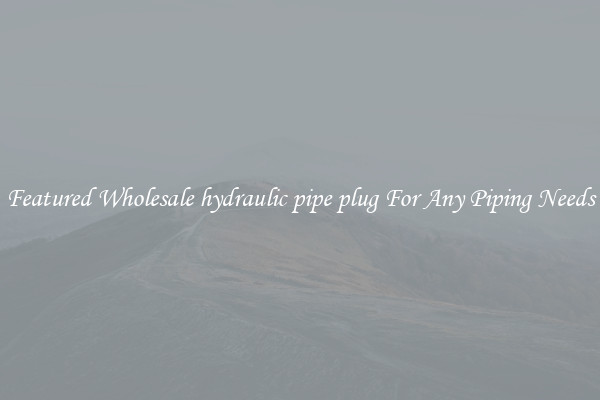 Featured Wholesale hydraulic pipe plug For Any Piping Needs