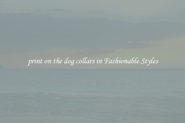 print on the dog collars in Fashionable Styles