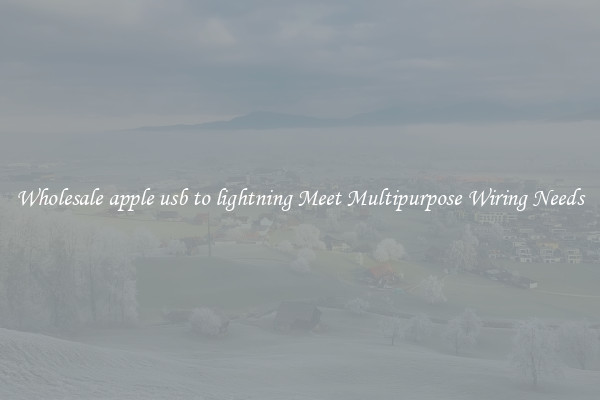 Wholesale apple usb to lightning Meet Multipurpose Wiring Needs