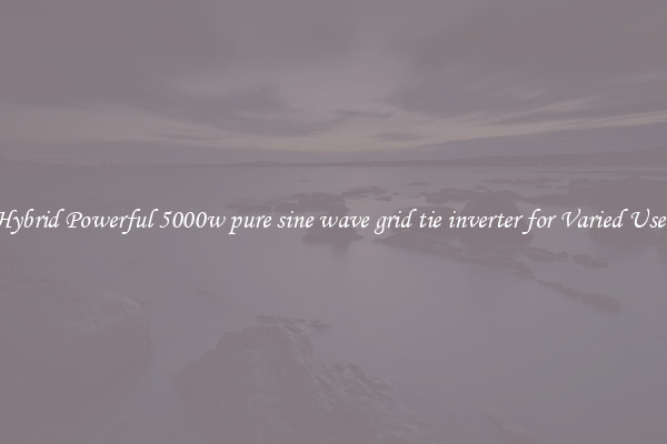 Hybrid Powerful 5000w pure sine wave grid tie inverter for Varied Uses