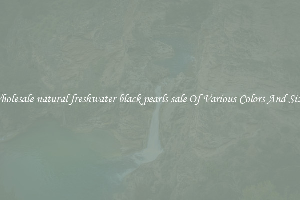 Wholesale natural freshwater black pearls sale Of Various Colors And Sizes