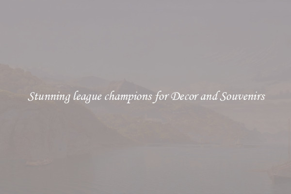 Stunning league champions for Decor and Souvenirs
