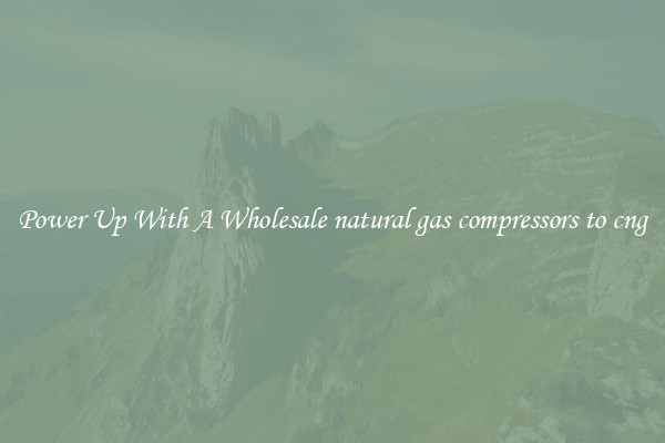 Power Up With A Wholesale natural gas compressors to cng