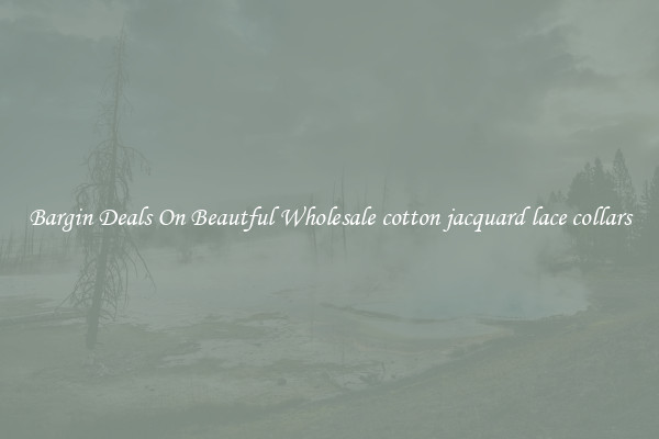 Bargin Deals On Beautful Wholesale cotton jacquard lace collars