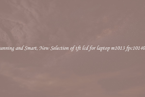 Stunning and Smart, New Selection of tft lcd for laptop m1013 fpc1014004