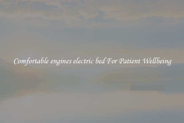 Comfortable engines electric bed For Patient Wellbeing