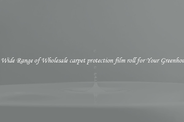 A Wide Range of Wholesale carpet protection film roll for Your Greenhouse