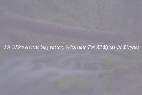 36v 350w electric bike battery Wholesale For All Kinds Of Bicycles