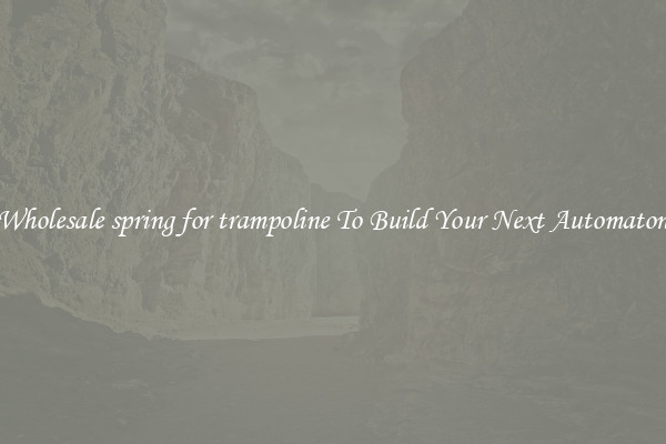 Wholesale spring for trampoline To Build Your Next Automaton