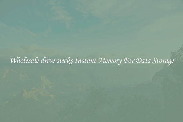 Wholesale drive sticks Instant Memory For Data Storage
