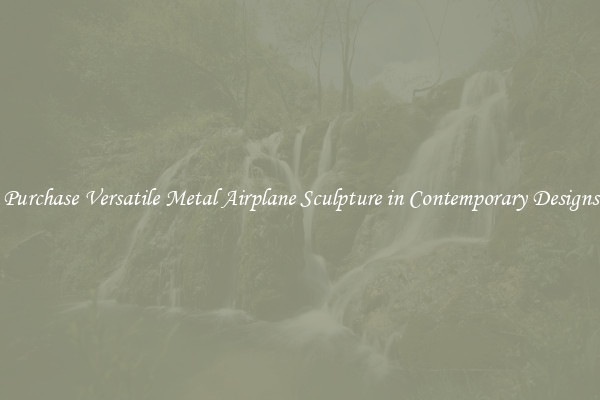 Purchase Versatile Metal Airplane Sculpture in Contemporary Designs