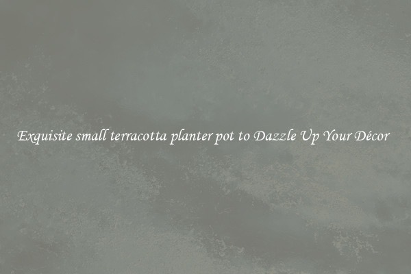 Exquisite small terracotta planter pot to Dazzle Up Your Décor  