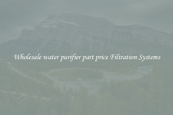 Wholesale water purifier part price Filtration Systems