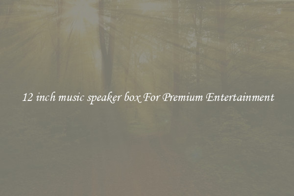12 inch music speaker box For Premium Entertainment
